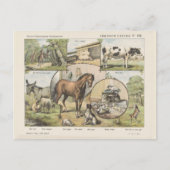 Boerderij Vintage Nederlands kunstwerk Briefkaart (Voorkant)