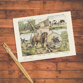 Boerderij Vintage Nederlands kunstwerk Briefkaart