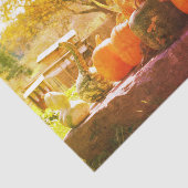 Boerderij voor pompoenen en pompoenen, standaard , tissuepapier (Detail)