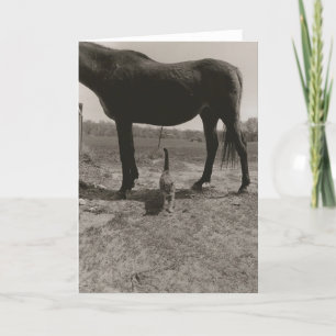 Boerderij vrienden II Kaart