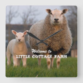 Boerderij Welkomstschapenfamilie - Aangepast Vierkante Klok (Voorkant)