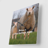Boerderij Welkomstschapenfamilie - Aangepast Vierkante Klok (Hoek)