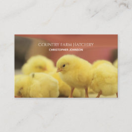 Boerderij Young Chicken Egg Hatchery Personalized Visitekaartje