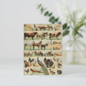  boerderijdieren briefkaart (Staand voorkant)