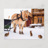 Boerderijdieren paard konijnen sneeuw briefkaart (Voorkant)