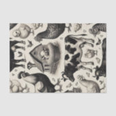  boerderijdieren schilderen tissuepapier (Voorkant)