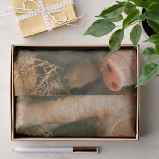 Boerderijen biggen tissuepapier (Geschenk)