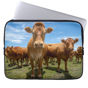 Boerderijen   Groep bruine Koe Laptop Sleeve