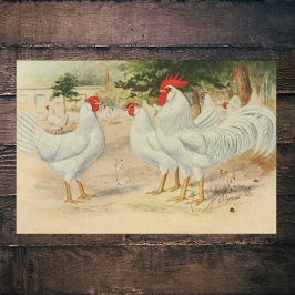 Boerderijen hanen Single Comb White Leghorns Tissuepapier
