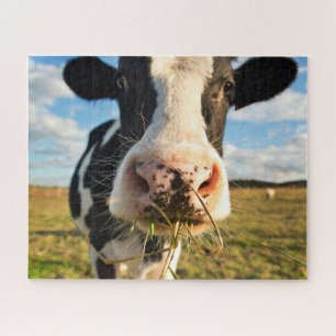 Boerderijen   Holstein Koe Kauwende Legpuzzel