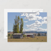 Boerderijen in Nieuw-Zeelands Briefkaart (Voorkant / Achterkant)