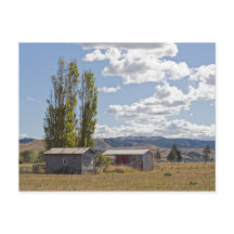 Boerderijen in Nieuw-Zeelands Briefkaart