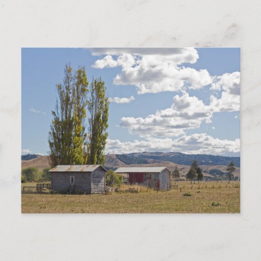 Boerderijen in Nieuw-Zeelands Briefkaart (Voorkant)