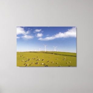 Boerderijen   Koeien nabij Boerderij van de windmo Canvas Afdruk