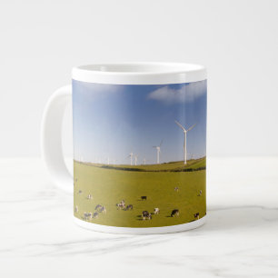 Boerderijen   Koeien nabij Boerderij van de windmo Grote Koffiekop