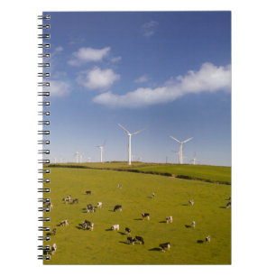 Boerderijen Koeien nabij Boerderij van de windmo Notitieboek