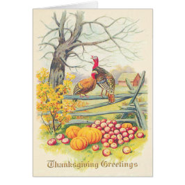 Boerderijen pompoenen van kalkoenen - Bladeren van