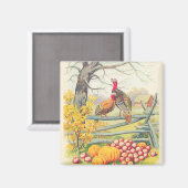 Boerderijen pompoenen van kalkoenen - Bladeren van Magneet (Voorkant / Achterkant)