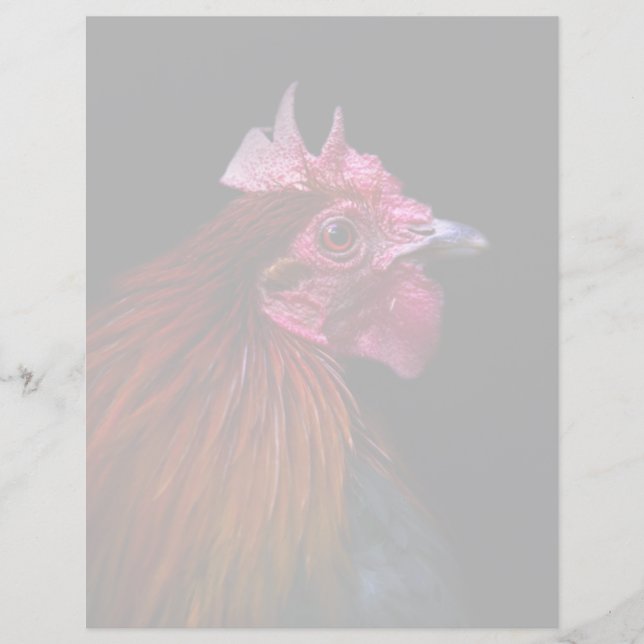Boerderijen | Rooster Head Shot (Voorkant)