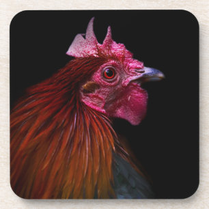 Boerderijen   Rooster Head Shot Bier Onderzetter