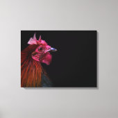 Boerderijen | Rooster Head Shot Canvas Afdruk (Voorkant)