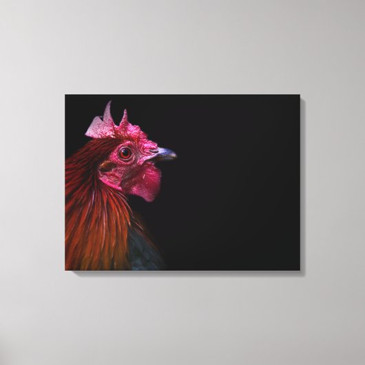 Boerderijen | Rooster Head Shot Canvas Afdruk (Voorkant)