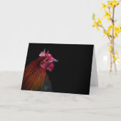Boerderijen | Rooster Head Shot Kaart (Gele Bloem)