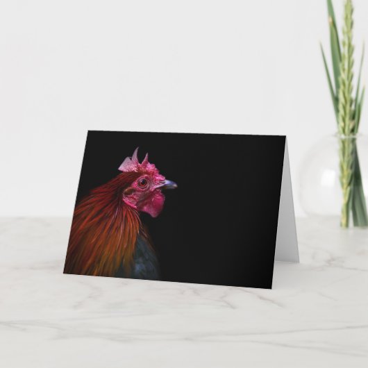 Boerderijen | Rooster Head Shot Kaart (Voorkant)