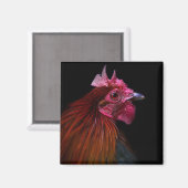 Boerderijen | Rooster Head Shot Magneet (Voorkant / Achterkant)