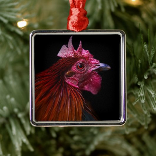 Boerderijen | Rooster Head Shot Metalen Ornament (Boom)