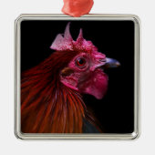 Boerderijen | Rooster Head Shot Metalen Ornament (Voorkant)
