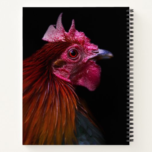 Boerderijen | Rooster Head Shot Notitieboek (Achterkant)