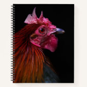 Boerderijen | Rooster Head Shot Notitieboek (Voorkant)