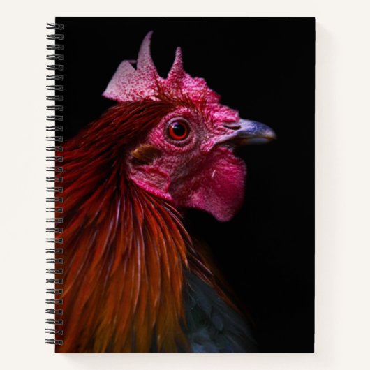 Boerderijen | Rooster Head Shot Notitieboek (Voorkant)