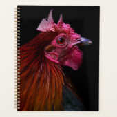 Boerderijen | Rooster Head Shot Planner (Voorkant)