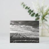 boerderijen velden briefkaart (Staand voorkant)