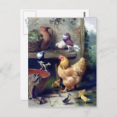 Boerderijen vogels die duiven van eenden schildere briefkaart (Voorkant / Achterkant)