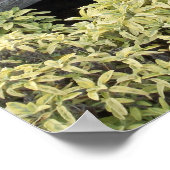  Boerderijen wielen Poster (Hoek)