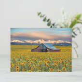 Boerderijen | Zonnebloem Hartelijk dank Bedankkaart (Staand voorkant)