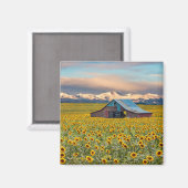 Boerderijen | Zonnebloem Magnet (Voorkant / Achterkant)