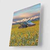 Boerderijen | Zonnebloemveld Vierkante Klok (Hoek)