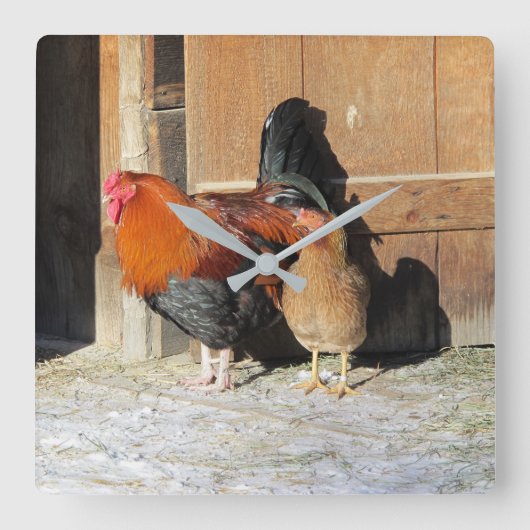 Boerderijhaan Rustieke Kip  Vierkante Klok (Voorkant)