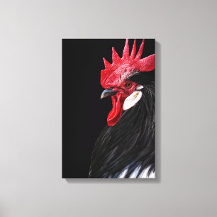 Boerderijhaan Zwart Rood Wit Kip Foto Canvas Afdruk