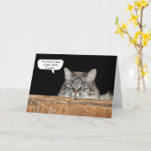 Boerderijkat In Hooizolder Verjaardag Kaart (Gele Bloem)