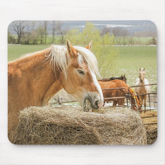 Boerderijpaard dat hooi eet muismat (Voorkant)