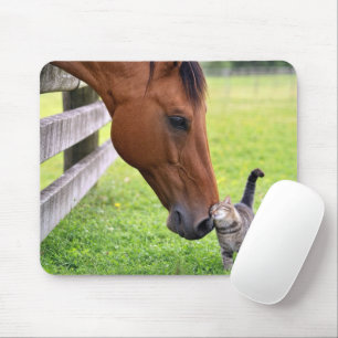 Boerderijpaard met tabbykat muismat