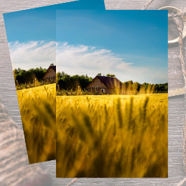 Boerderijschuur in een glinsterend gouden korenvel tissuepapier