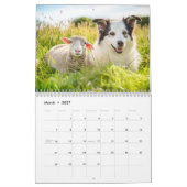 Boerderijvrienden – Dieren die Samenleven Kalender (Mar 2027)