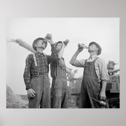 Boeren drinken bier, 1941. Oude foto Poster (Voorkant)