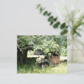 Boeren Junky Truck Rusting Away Briefkaart (Staand voorkant)